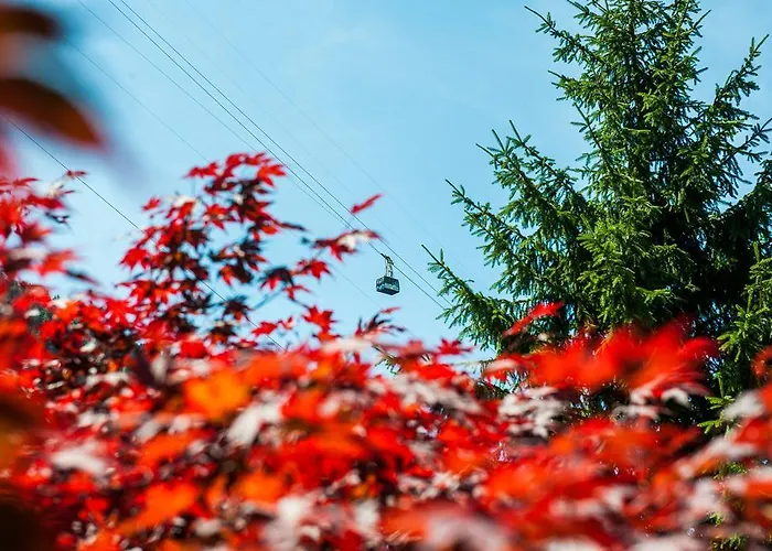 Villaggio Turistico Cervino 4* Antey-Saint-Andre