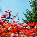 Villaggio Turistico Camping Cervino 4* Анте-Сент-Андре