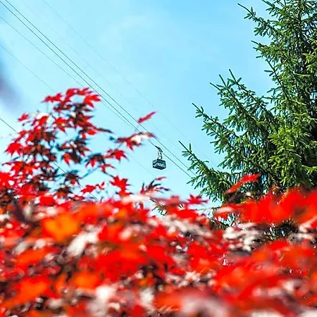 Villaggio Turistico Cervino Üdülőpark 4*