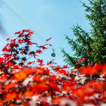 Villaggio Turistico Camping Cervino 4* Анте-Сент-Андре